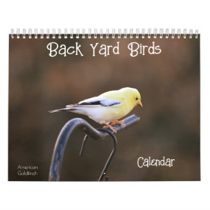 Bakåtriktad fågelkalender kalender