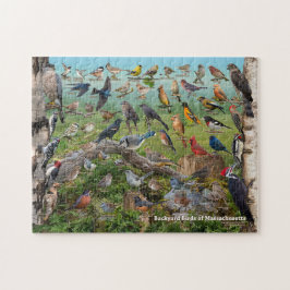 Bakbäcksfåglar i Massachusetts Pussel