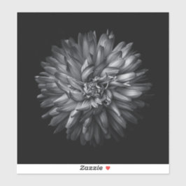 Bakbangårdsblommor i svartvitt 20 klistermärken