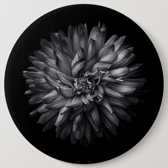 Bakbangårdsblommor i svartvitt 20 knapp (Framsida)