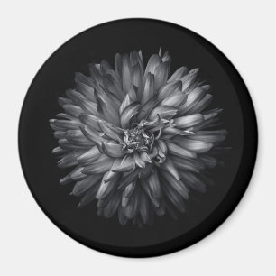 Bakbangårdsblommor i svartvitt 20 magnet
