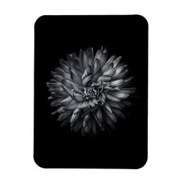 Bakbangårdsblommor i svartvitt 20 magnet