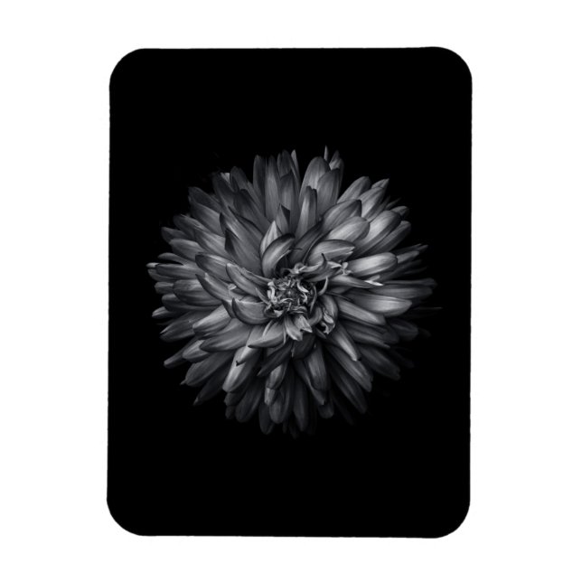Bakbangårdsblommor i svartvitt 20 magnet (Vertikal)