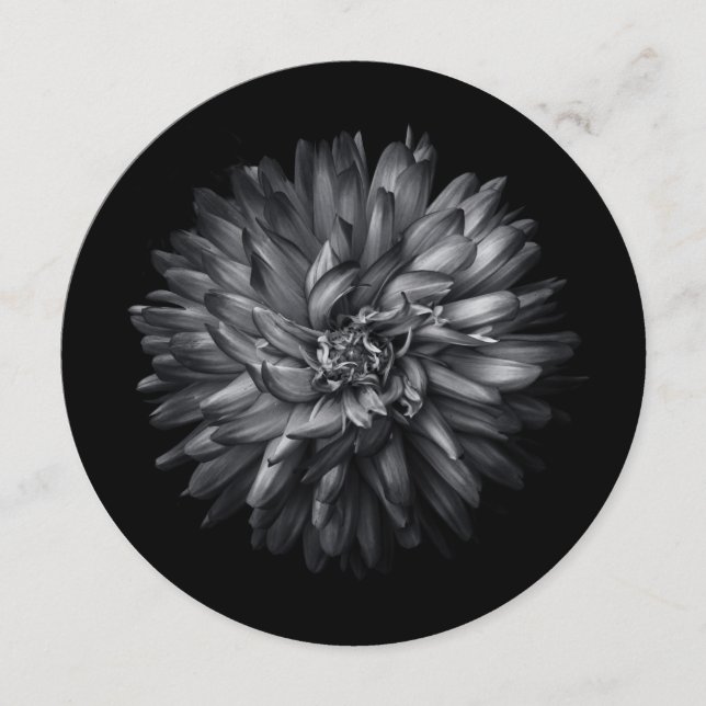 Bakbangårdsblommor i svartvitt 20 meny (Framsida)