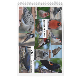 Bakbrädfåglar på Mid-Atlantic Kalender