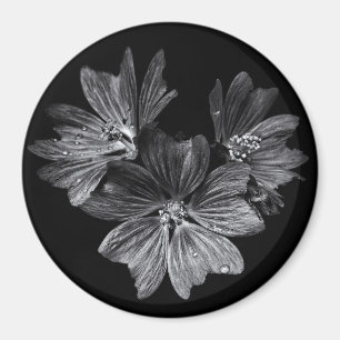 Bakbrädor i svartvitt nr 11 magnet