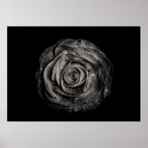 Bakbrädor i svartvitt nr 72 poster