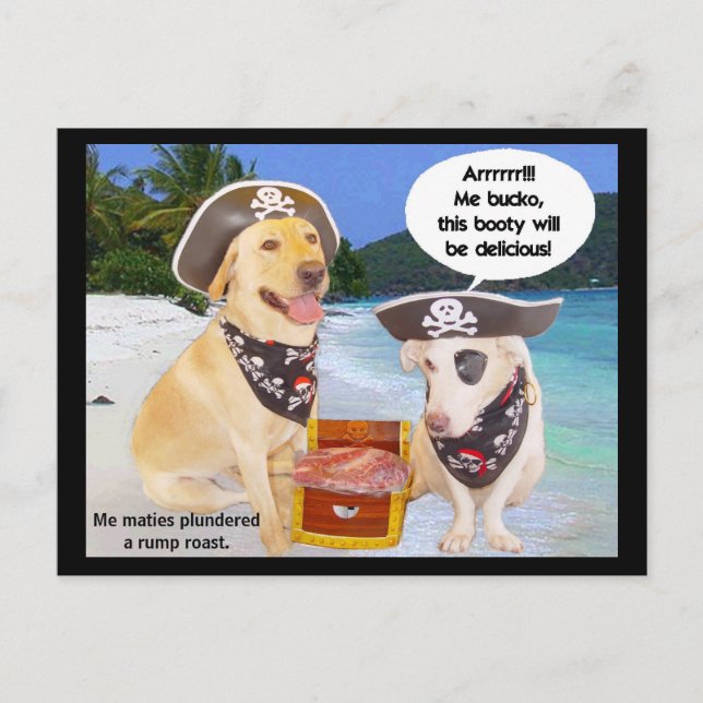 Bakdelpiratbyte Vykort (Framsida)