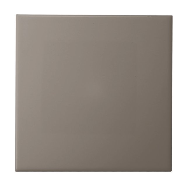 Bakdroppe Brun Square Kitchen and Bathroom Kakelplatta (Framsidan)