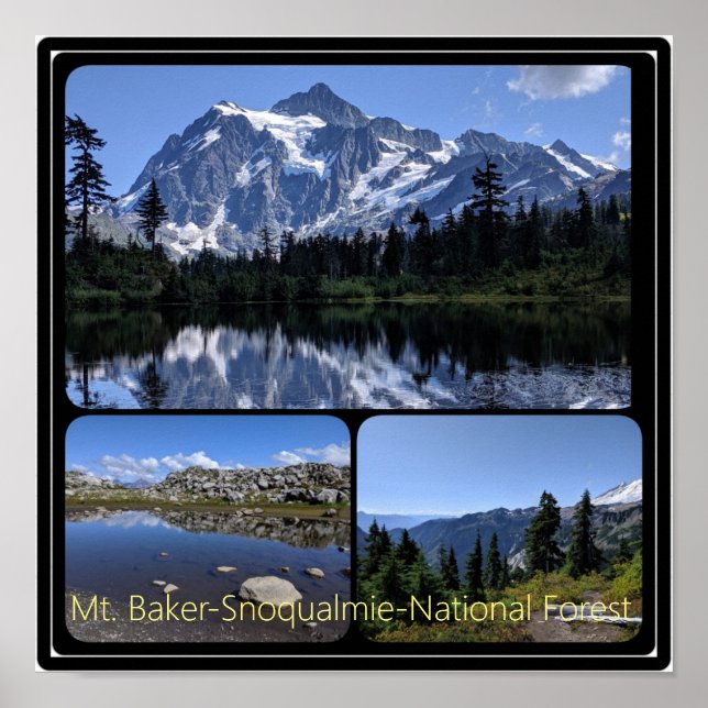 Baker-Snoqualmie National Forest Collage Poste Poster (Framsidan)