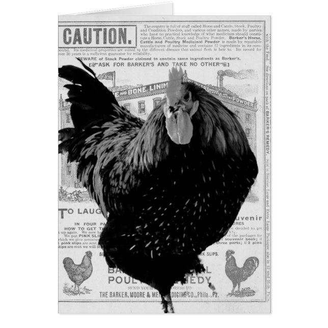 Bakers Speciella fjäderfä Hälsningskort (Framsidan)