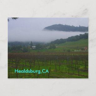 bakgård, Healdsburg,CA Vykort