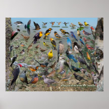 Bakgårdar vid BC Insida