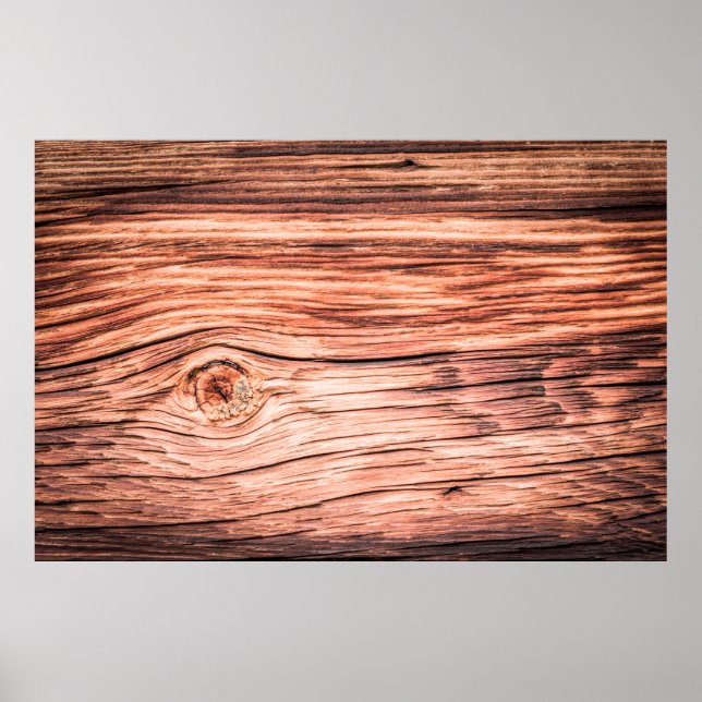 Bakgrund, antika, bakterie, b poster (Framsidan)