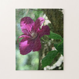 bakgrund, blommar, blomma, natur, sommar, pussel