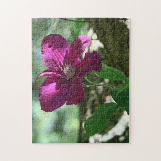 bakgrund, blommar, blomma, natur, sommar, pussel (Vertikal)