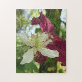 bakgrund, blommar, blomma, natur, sommar, pussel