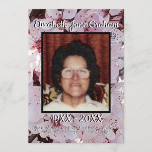 Bakgrund - Blommar för offertfotoplommon Program