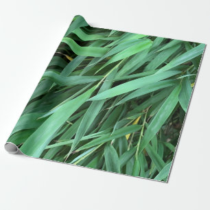 Bakgrund för Bamboo löv Presentpapper