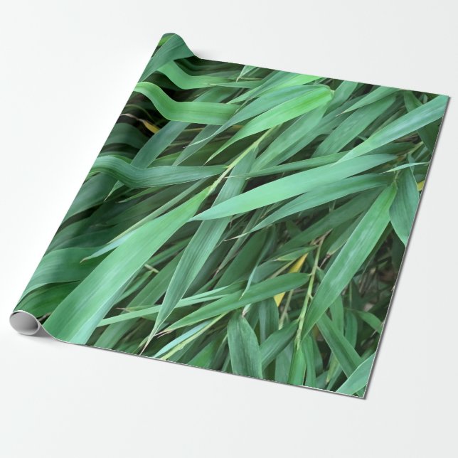 Bakgrund för Bamboo löv Presentpapper (Utrullad)