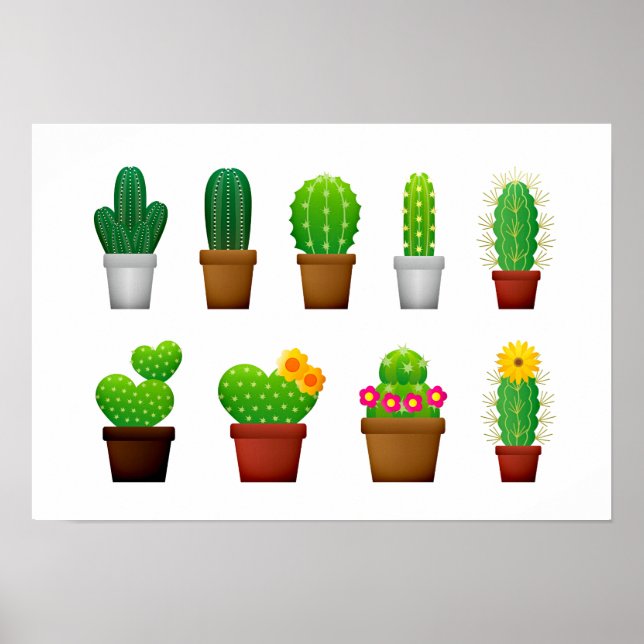 Bakgrund för Cactus plantor Poster (Framsidan)