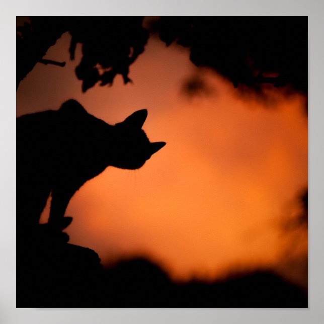 Bakgrund för Halloween Black Cat Orange Anpassa Poster (Framsidan)