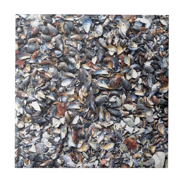 Bakgrund för kontrollceller kakelplatta (Framsidan)