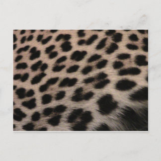 Bakgrund för Leopard-utskrift Vykort