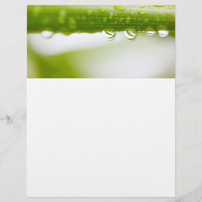 Bakgrund för löv av grönt reklamblad (Framsidan)