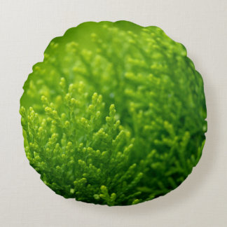 Bakgrund för löv av grönt rund kudde