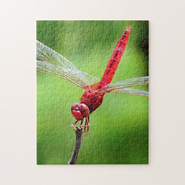 Bakgrund för Red Dragonfly Puzzle Grönt Pussel (Vertikal)