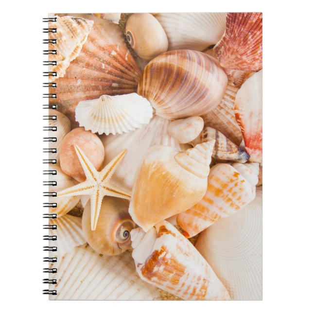 Bakgrund för Seashells: marint tema. Anteckningsbok (Framsidan)