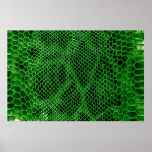 Bakgrund för Snake-skalet Poster