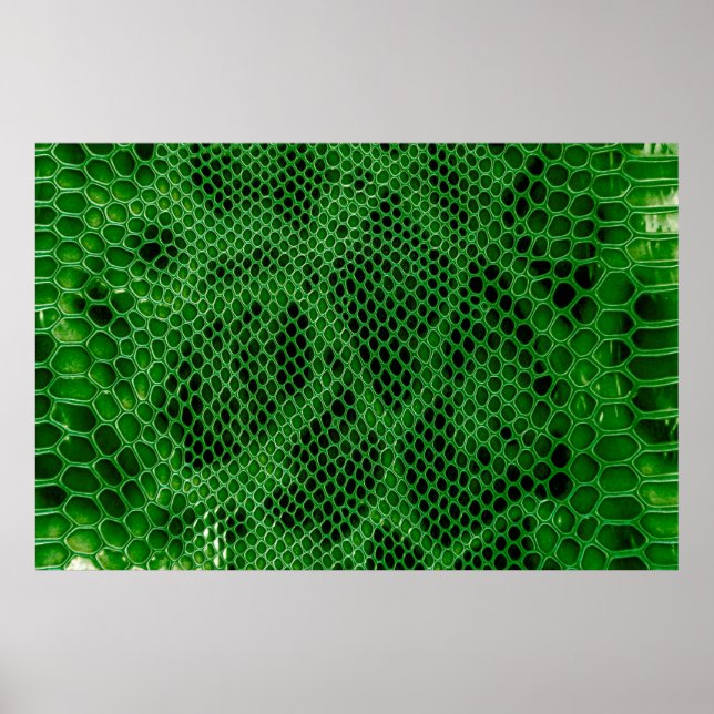 Bakgrund för Snake-skalet Poster (Framsidan)