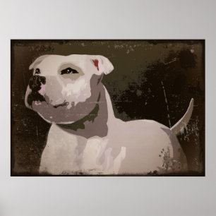 Bakgrund för Terrier för vitStaffordshire tjur Poster