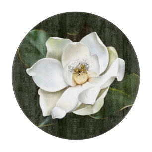 Bakgrund för vit Grönt för stängning av Magnolia