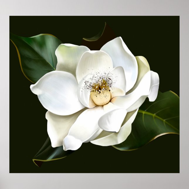 Bakgrund för vit Grönt för stängning av Magnolia Poster (Framsidan)