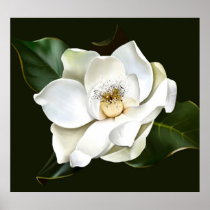 Bakgrund för vit Grönt för stängning av Magnolia Poster