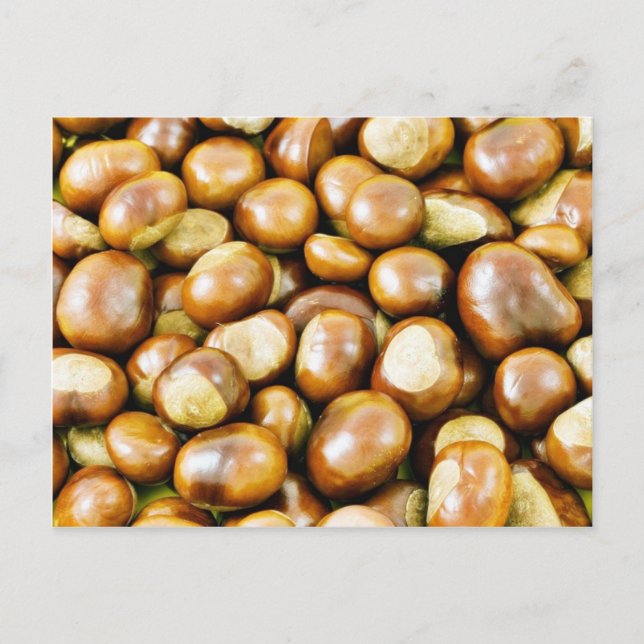 Bakgrund från Convers Vykort (Framsida)