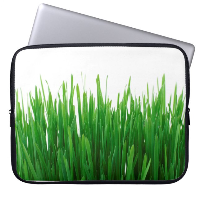 Bakgrund - stäng upp flora färsk laptop fodral (Framsidan)