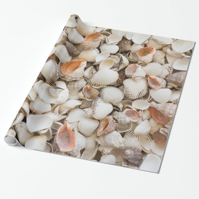 Bakgrund till mönster Seashell stil Presentpapper (Utrullad)