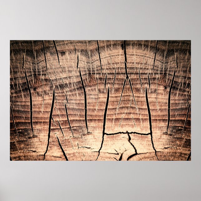 Bakgrund till trästumpabstrakt, ålder, åldrande. poster (Framsidan)