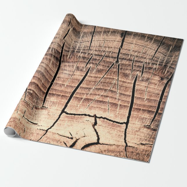 Bakgrund till trästumpabstrakt, ålder, åldrande. presentpapper (Utrullad)