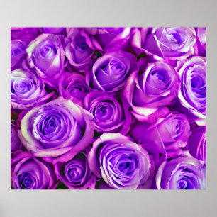 Bakgrunden till Bunch Ro Valentine Day Symbol för Poster