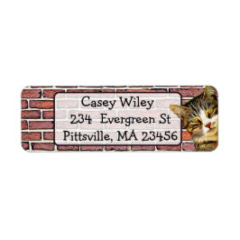 Bakgrundsadressetikett för Kat Brick Wall Returadress Etikett