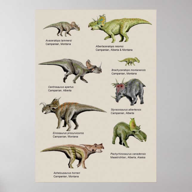 Bakgrundsdiagram för dinosaurier poster (Framsidan)