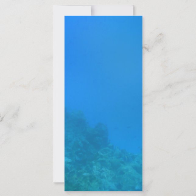 Bakgrundsscen under vatten (Framsida)