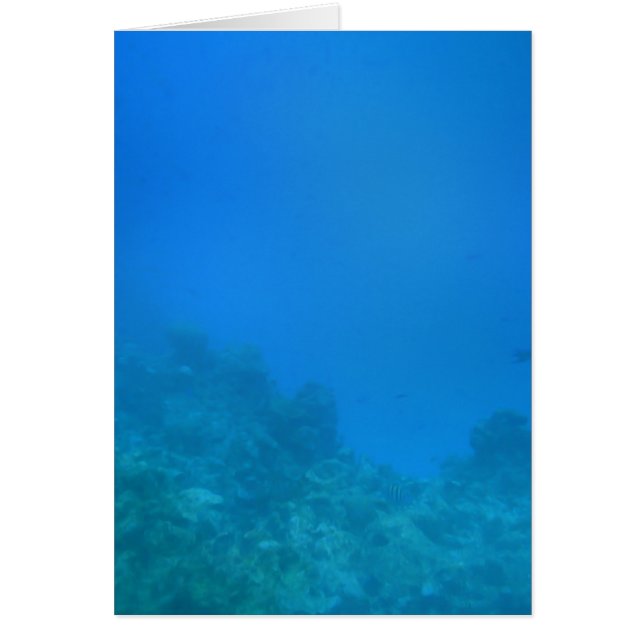 Bakgrundsscen under vatten hälsningskort (Framsidan)