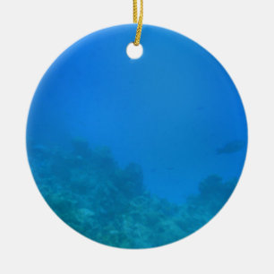 Bakgrundsscen under vatten julgransprydnad keramik
