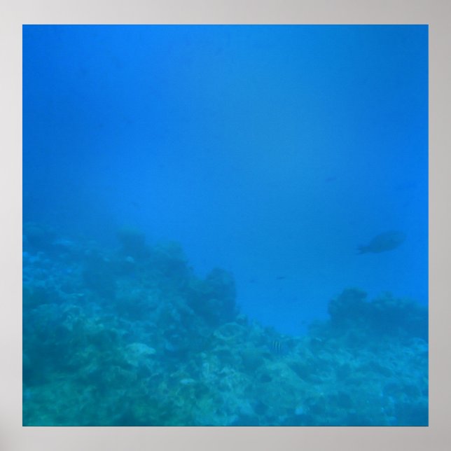 Bakgrundsscen under vatten poster (Framsidan)